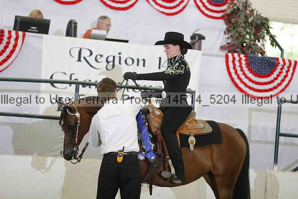 Proof Number 14r14_5204