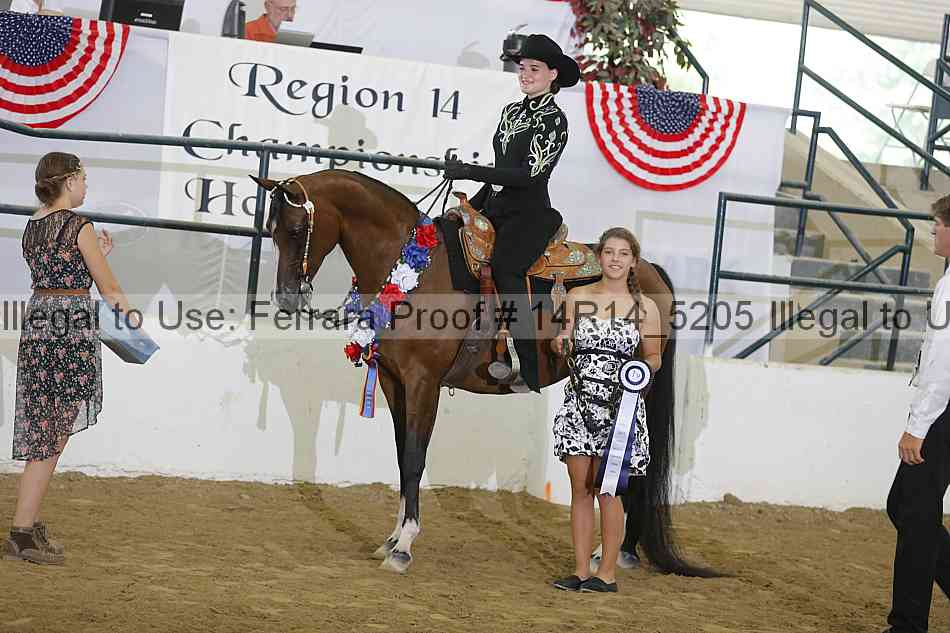 Proof Number 14r14_5205