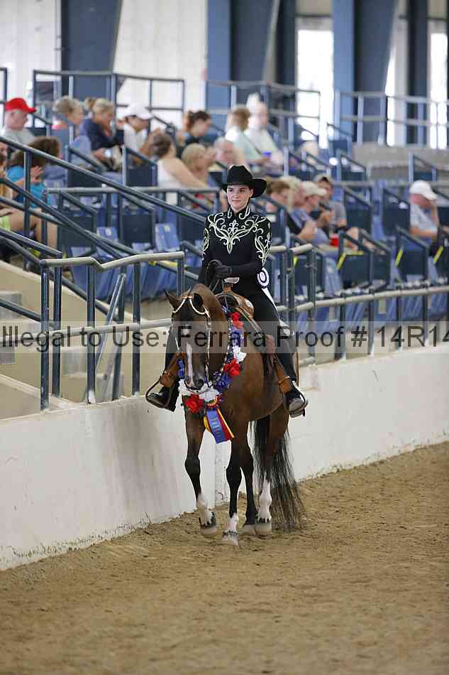 Proof Number 14r14_5218