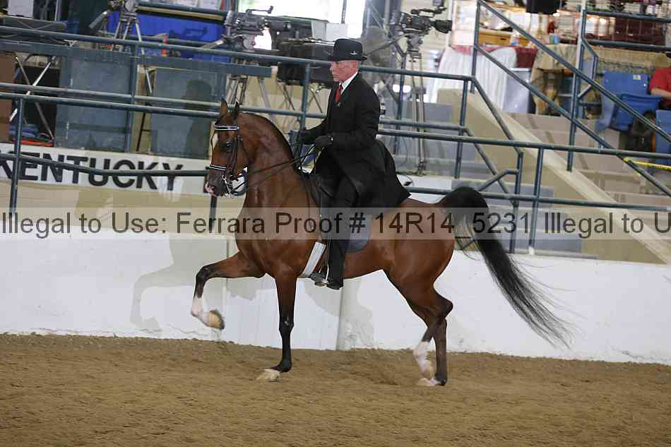 Proof Number 14r14_5231