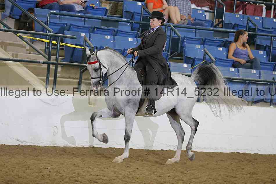 Proof Number 14r14_5232