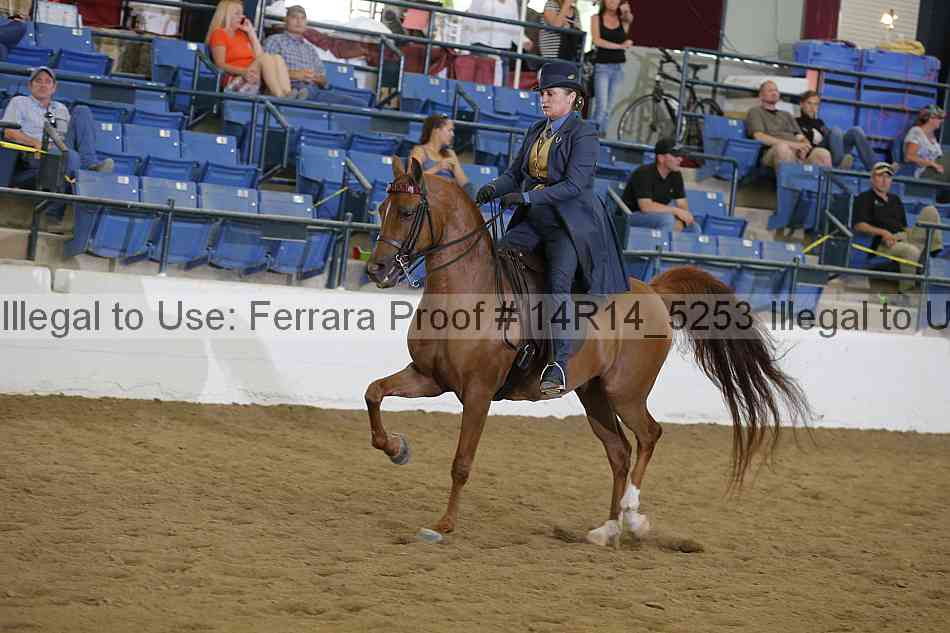 Proof Number 14r14_5253