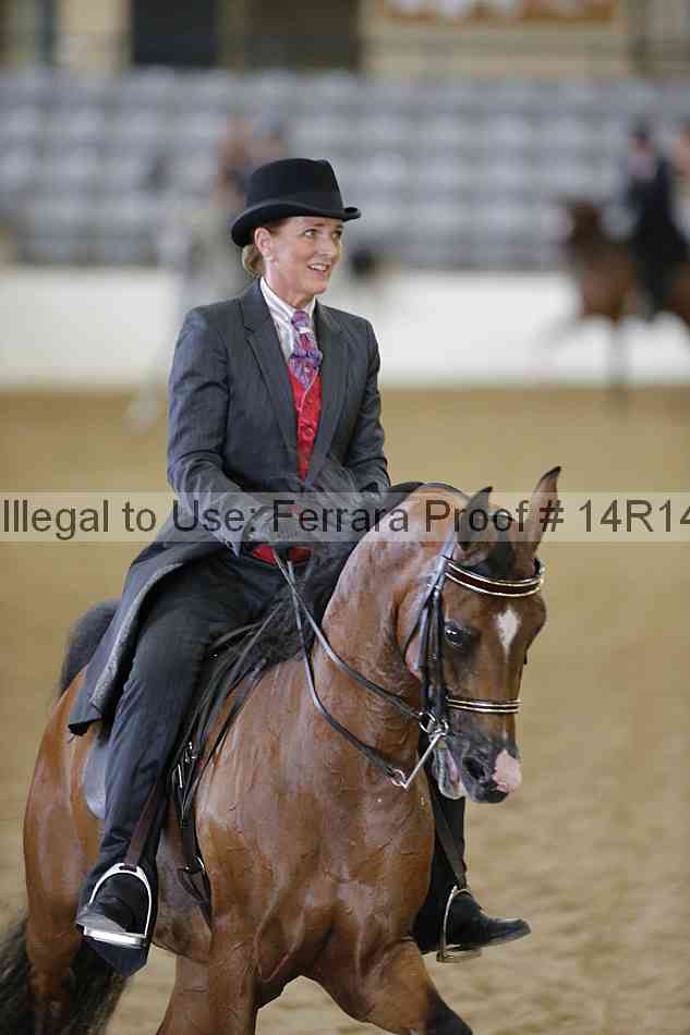 Proof Number 14r14_5255
