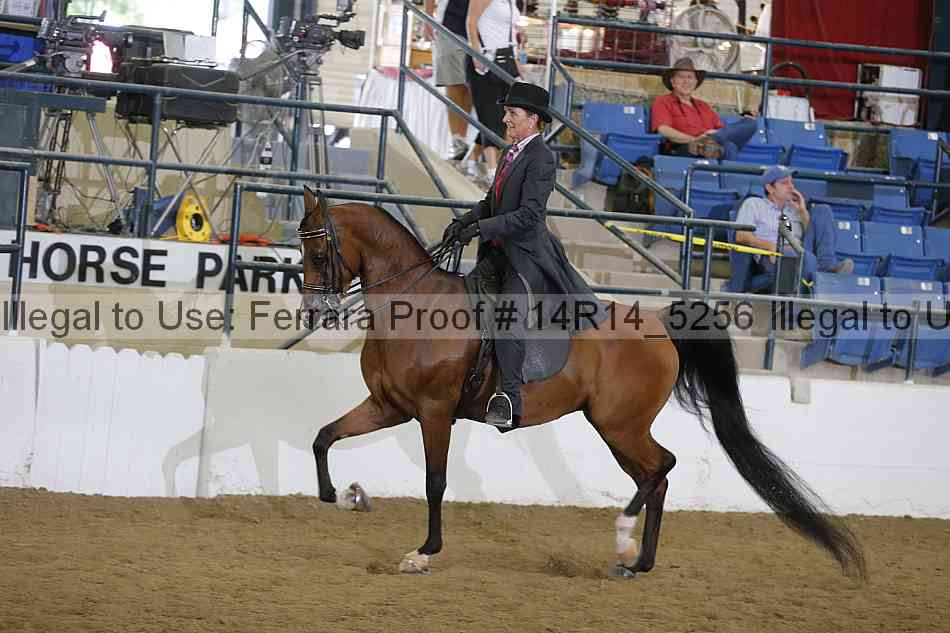 Proof Number 14r14_5256