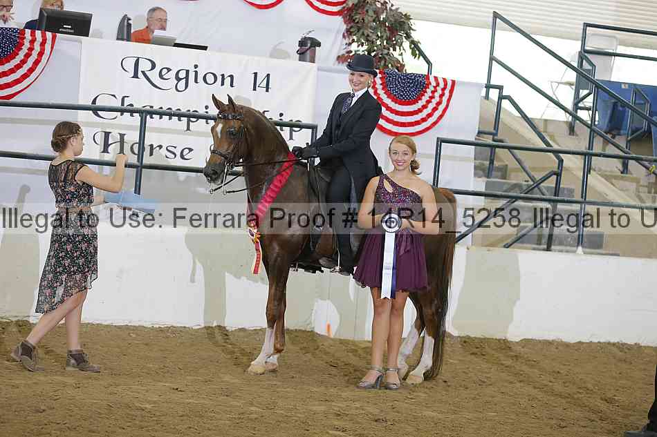 Proof Number 14r14_5258