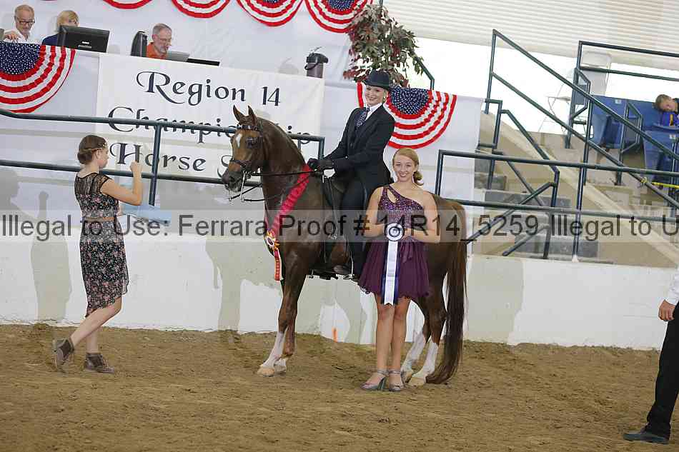 Proof Number 14r14_5259