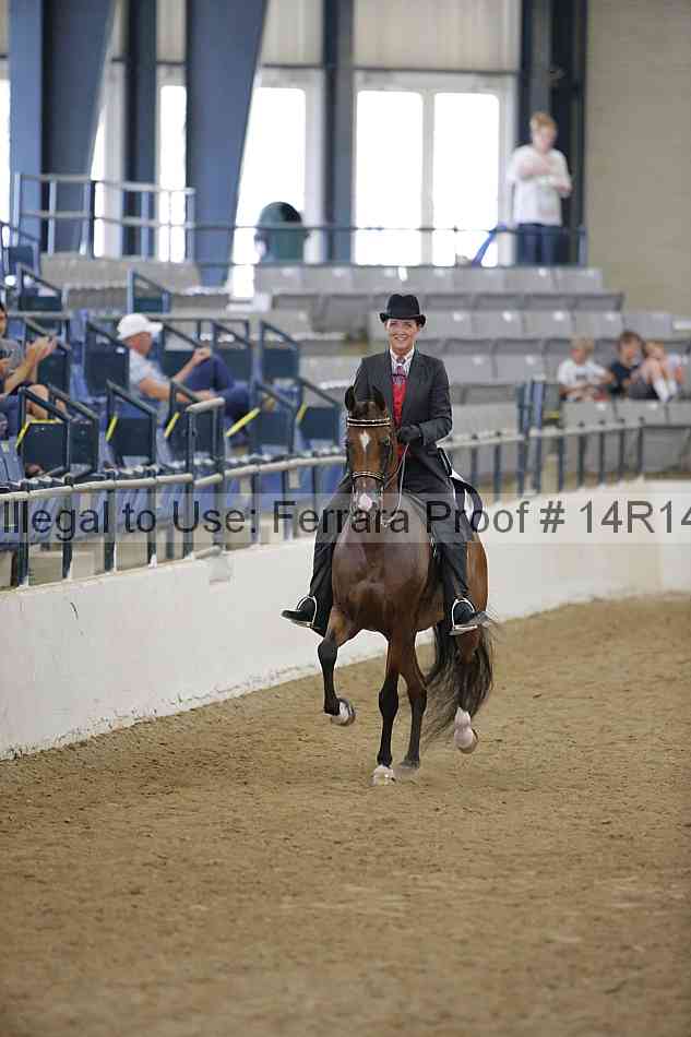 Proof Number 14r14_5265