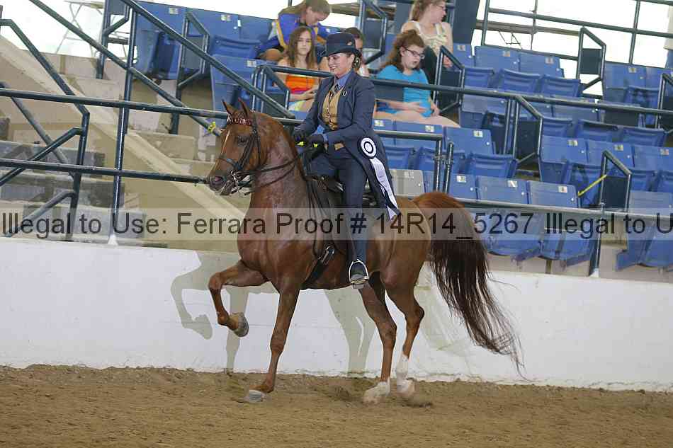 Proof Number 14r14_5267