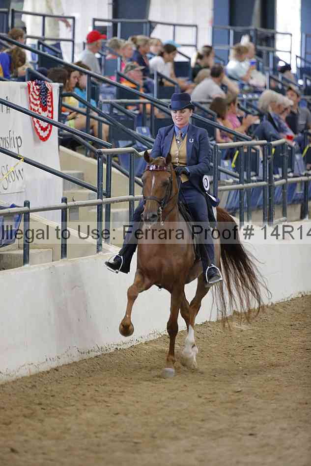 Proof Number 14r14_5271