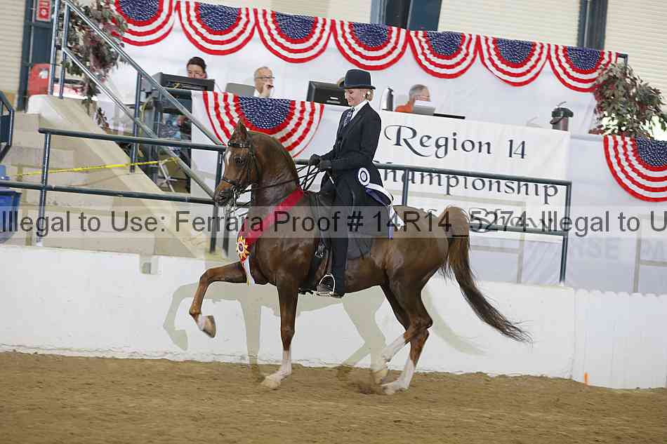 Proof Number 14r14_5274