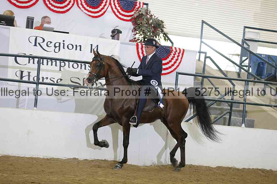 Proof Number 14r14_5275