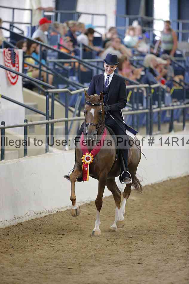 Proof Number 14r14_5276