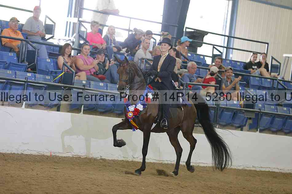 Proof Number 14r14_5280