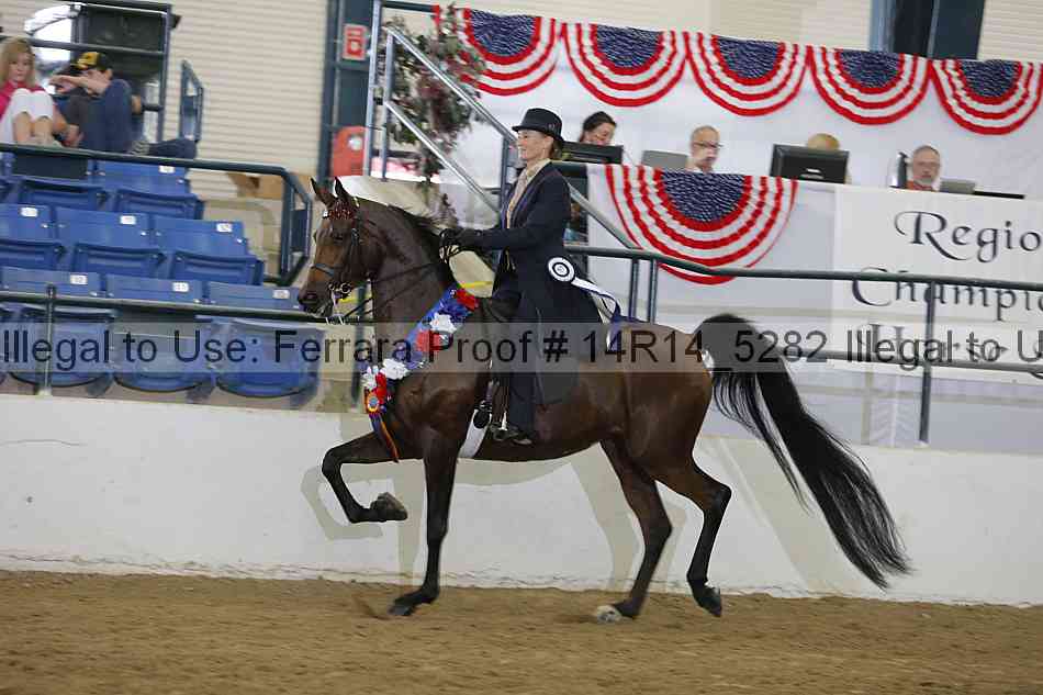 Proof Number 14r14_5282