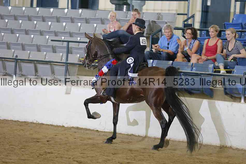 Proof Number 14r14_5283
