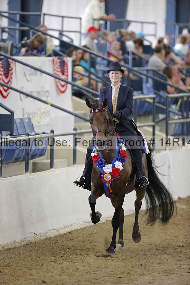 Proof Number 14r14_5284