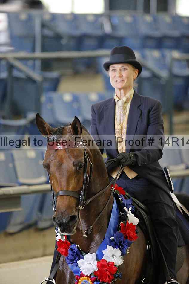 Proof Number 14r14_5288