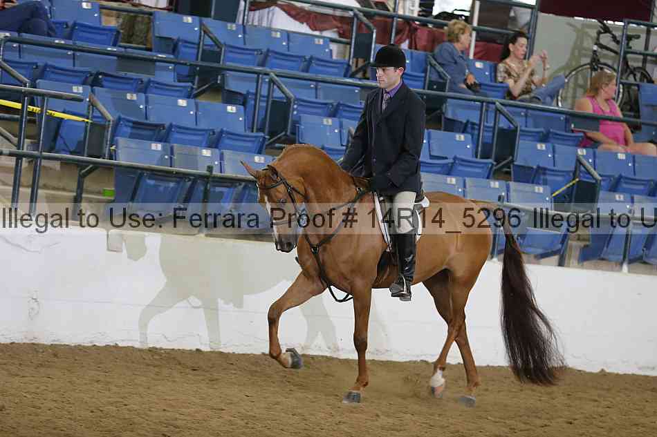 Proof Number 14r14_5296