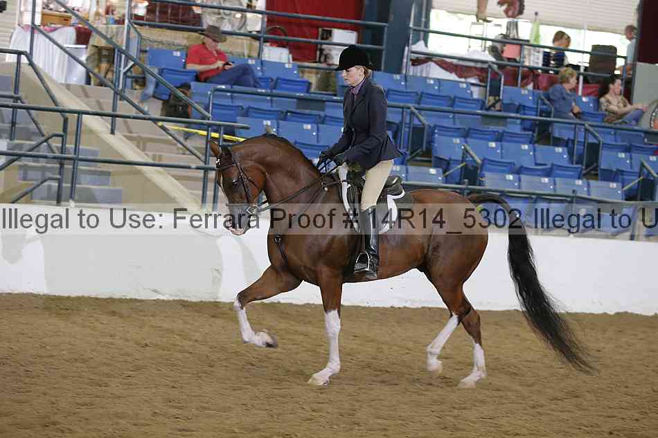 Proof Number 14r14_5302