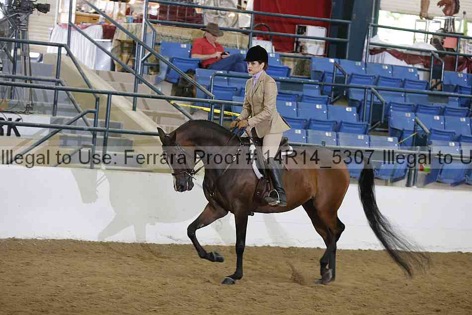 Proof Number 14r14_5307