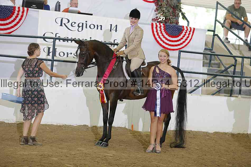 Proof Number 14r14_5312