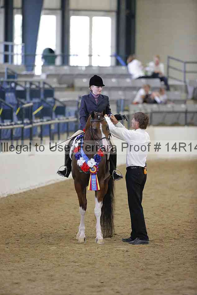 Proof Number 14r14_5318