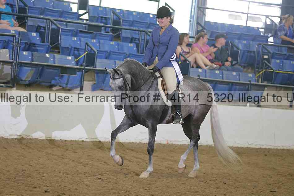 Proof Number 14r14_5320