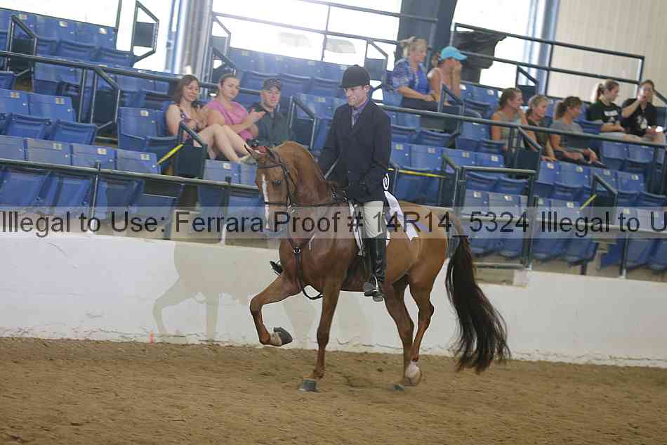Proof Number 14r14_5324