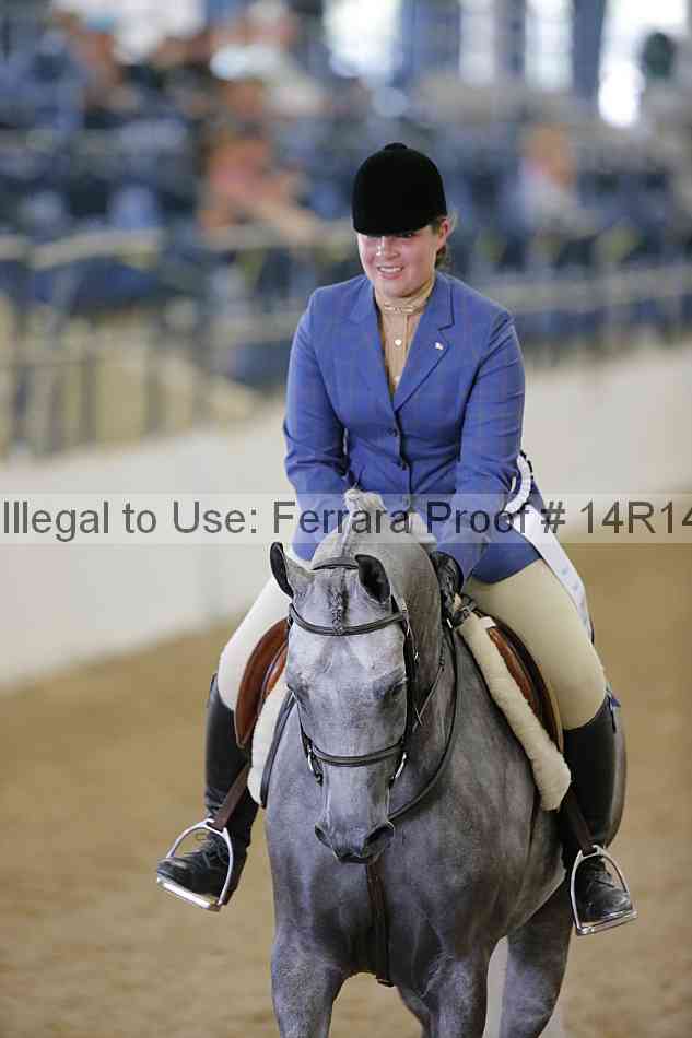 Proof Number 14r14_5326