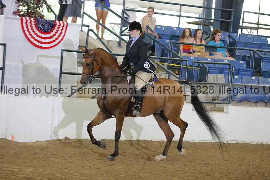 Proof Number 14r14_5328