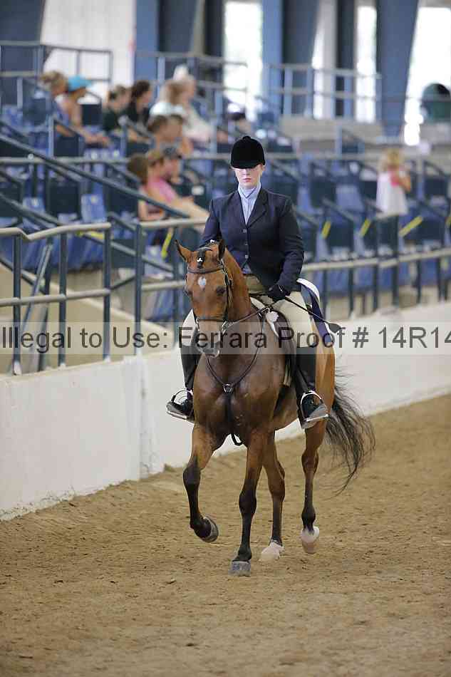 Proof Number 14r14_5331