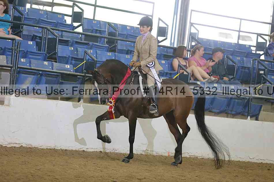 Proof Number 14r14_5332