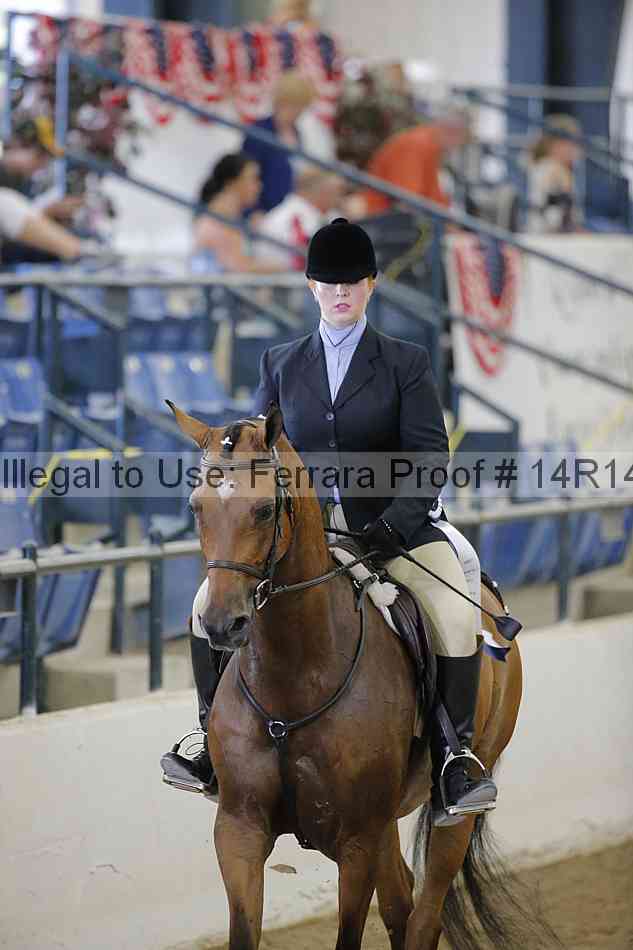 Proof Number 14r14_5334