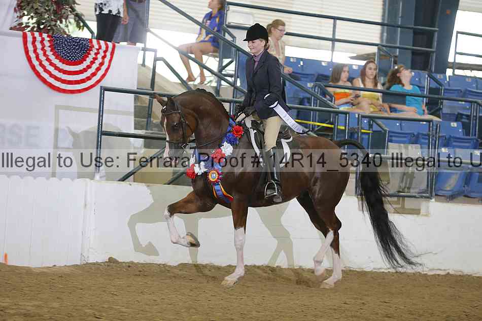 Proof Number 14r14_5340