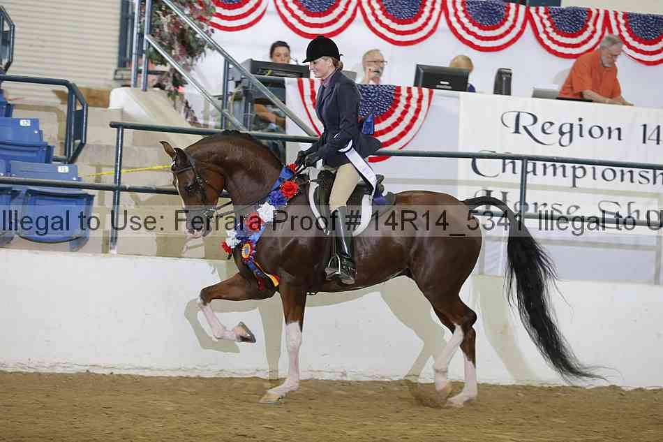 Proof Number 14r14_5341