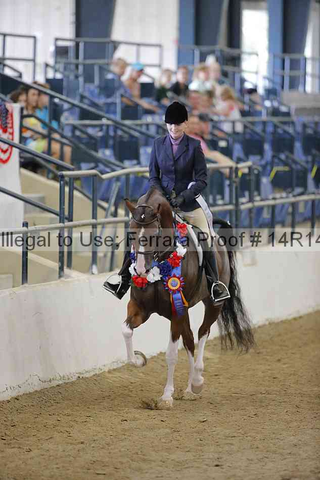 Proof Number 14r14_5342