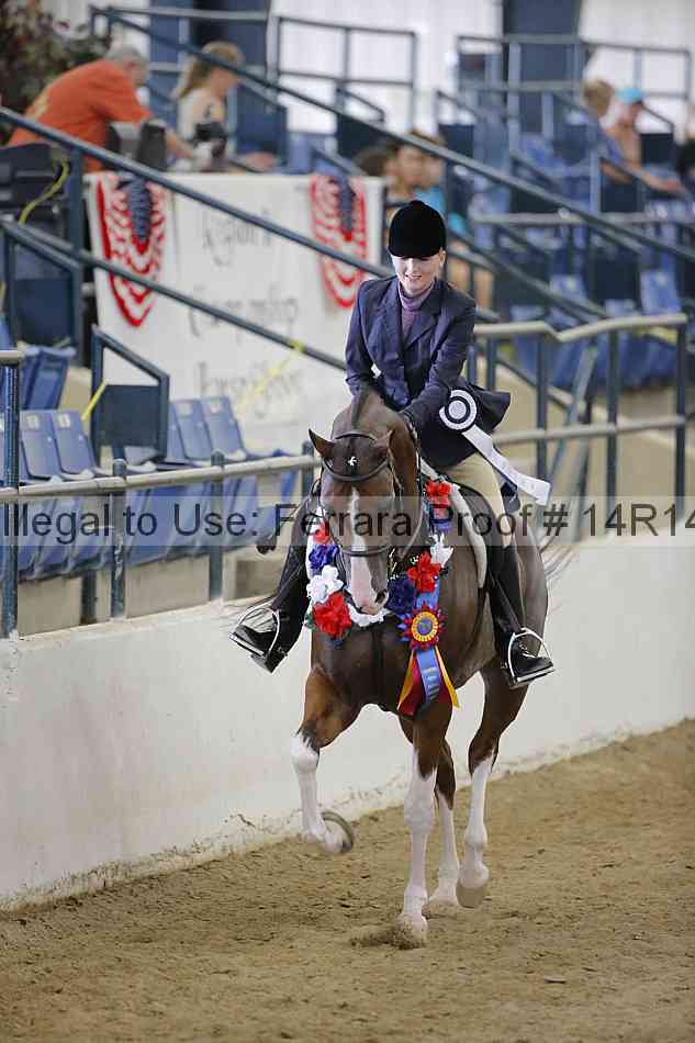 Proof Number 14r14_5343