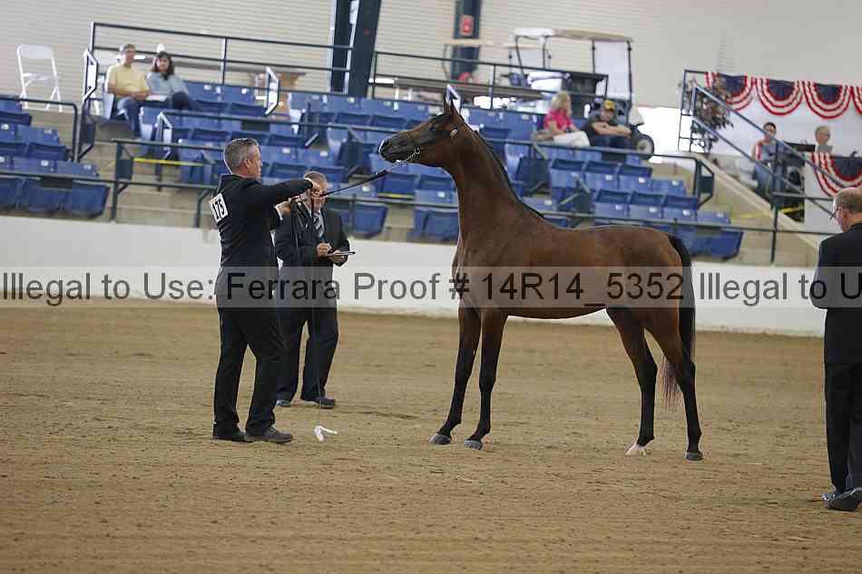 Proof Number 14r14_5352