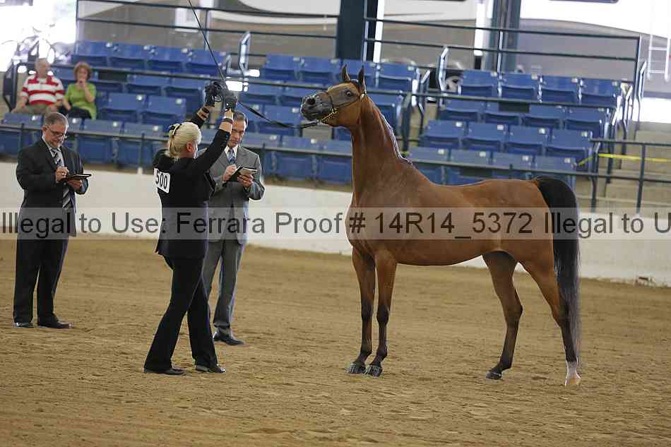 Proof Number 14r14_5372
