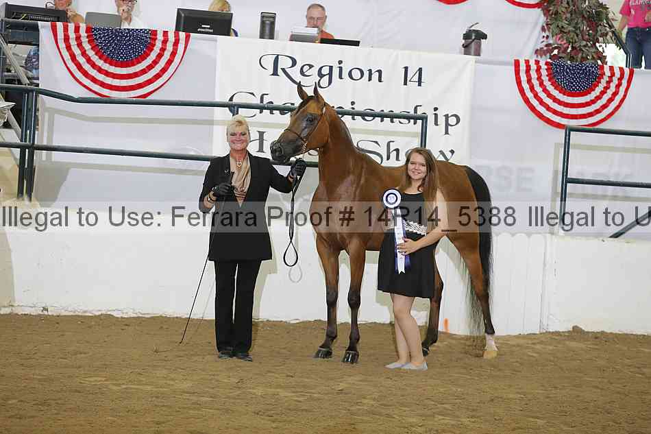 Proof Number 14r14_5388
