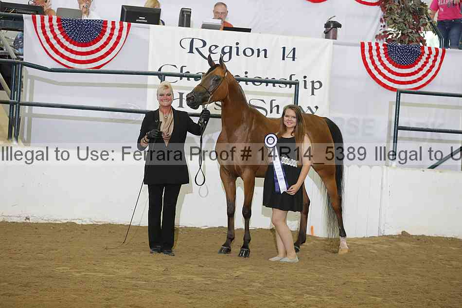 Proof Number 14r14_5389