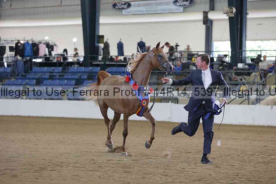 Proof Number 14r14_5397