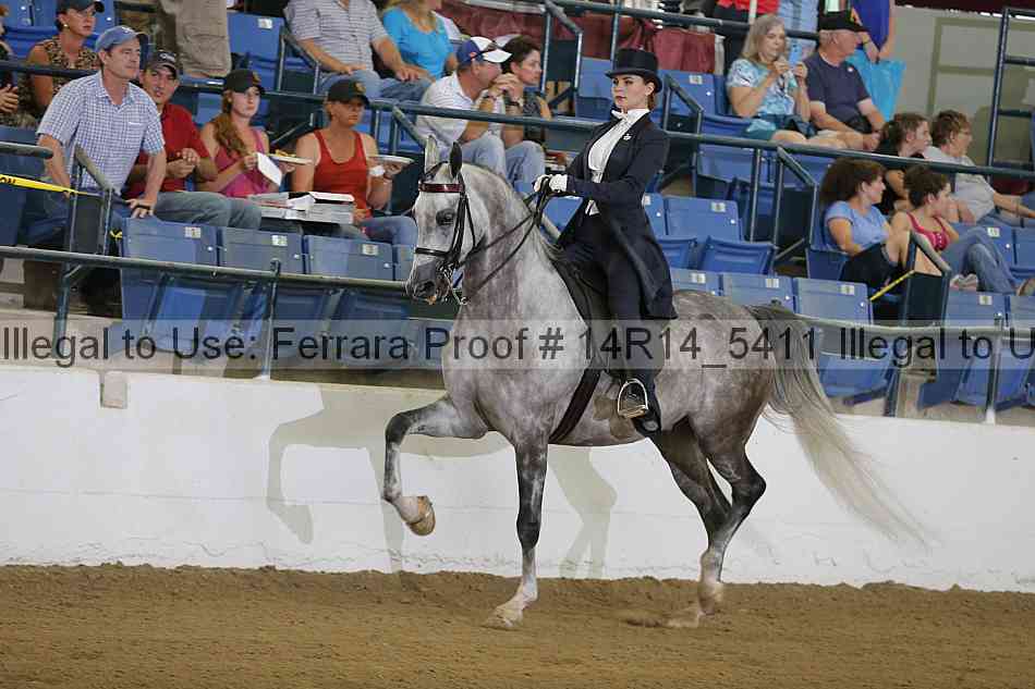Proof Number 14r14_5411