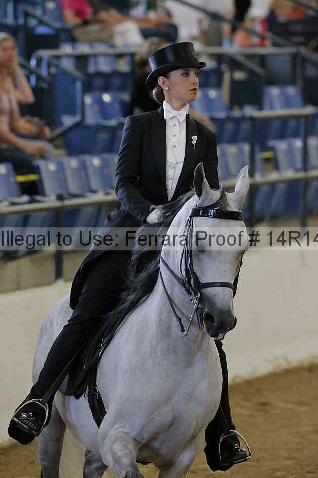 Proof Number 14r14_5413