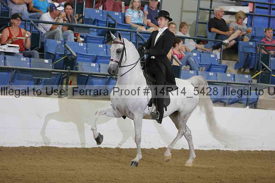 Proof Number 14r14_5428