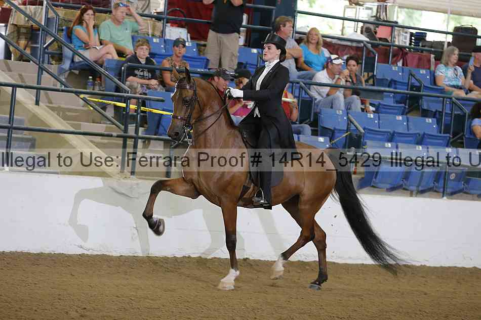 Proof Number 14r14_5429