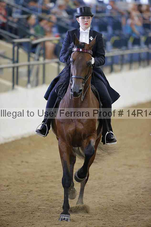 Proof Number 14r14_5431