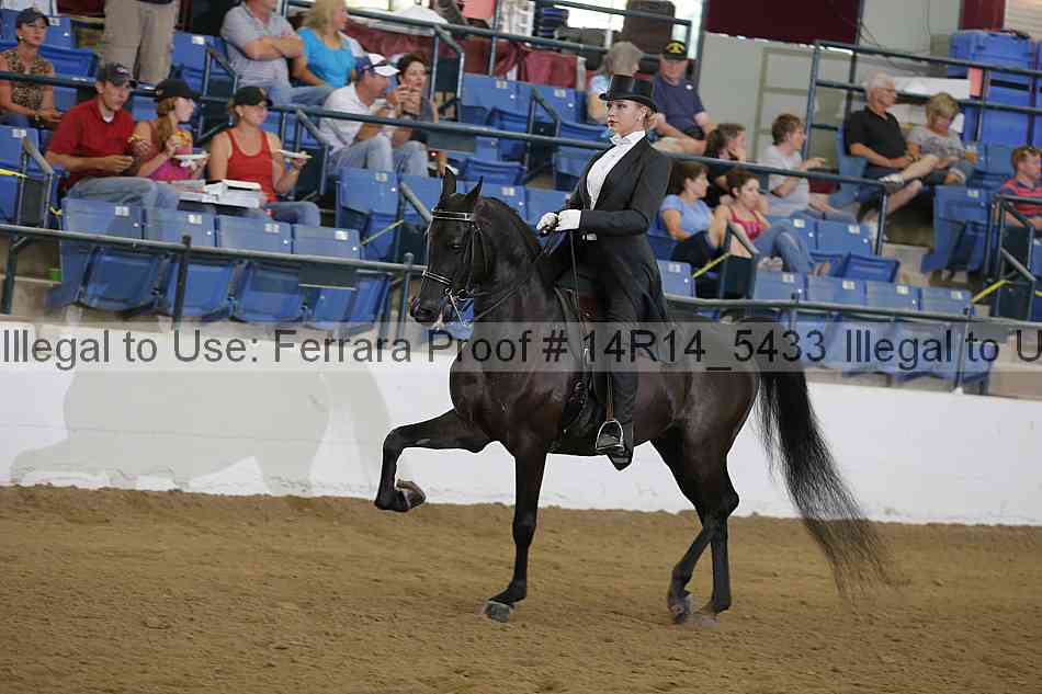 Proof Number 14r14_5433