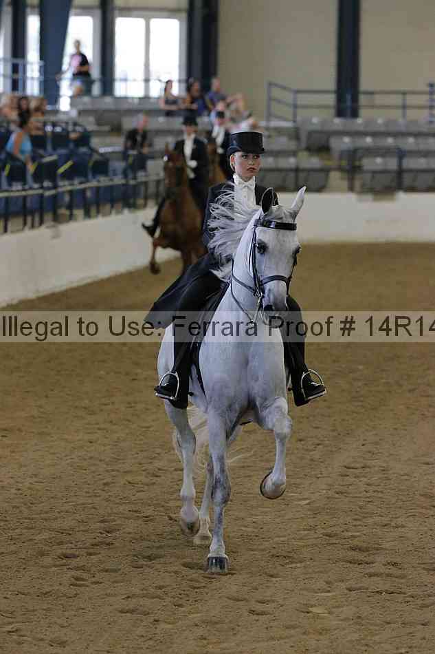 Proof Number 14r14_5435