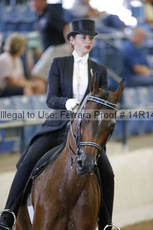 Proof Number 14r14_5437